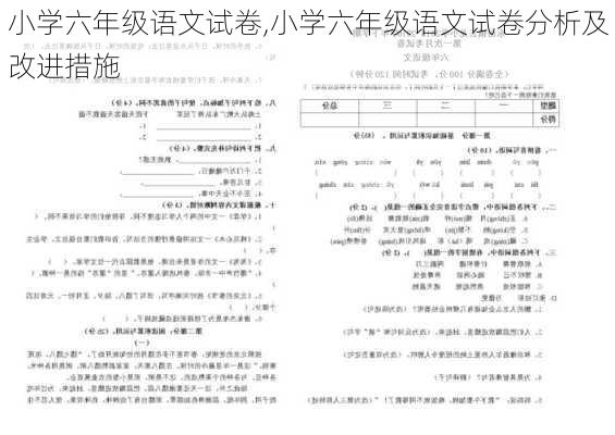 小学六年级语文试卷,小学六年级语文试卷分析及改进措施-第3张图片-星梦范文网