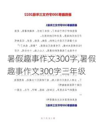 暑假趣事作文300字,暑假趣事作文300字三年级-第2张图片-星梦范文网