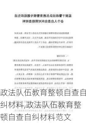 政法队伍教育整顿自查自纠材料,政法队伍教育整顿自查自纠材料范文-第2张图片-星梦范文网