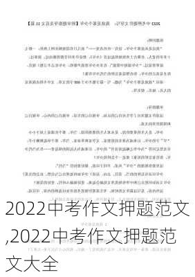 2022中考作文押题范文,2022中考作文押题范文大全-第3张图片-星梦范文网