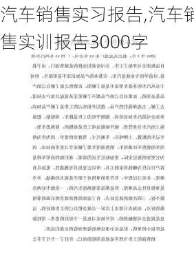 汽车销售实习报告,汽车销售实训报告3000字-第2张图片-星梦范文网