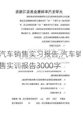 汽车销售实习报告,汽车销售实训报告3000字-第3张图片-星梦范文网