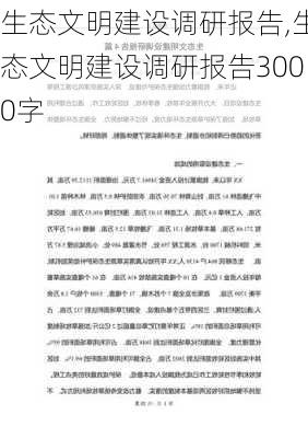 生态文明建设调研报告,生态文明建设调研报告3000字-第1张图片-星梦范文网