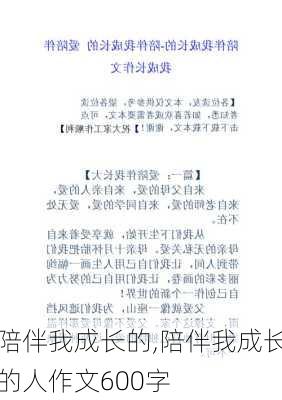 陪伴我成长的,陪伴我成长的人作文600字-第2张图片-星梦范文网