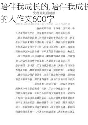 陪伴我成长的,陪伴我成长的人作文600字-第3张图片-星梦范文网