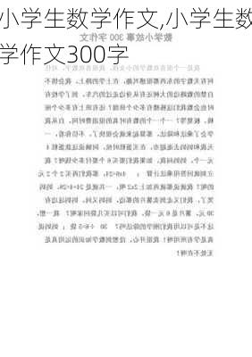 小学生数学作文,小学生数学作文300字-第1张图片-星梦范文网