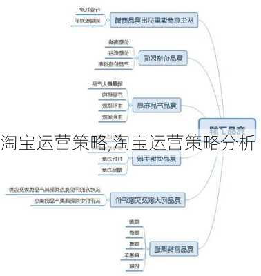 淘宝运营策略,淘宝运营策略分析-第2张图片-星梦范文网