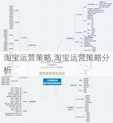 淘宝运营策略,淘宝运营策略分析-第3张图片-星梦范文网