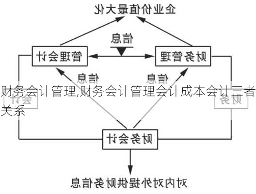 财务会计管理,财务会计管理会计成本会计三者关系