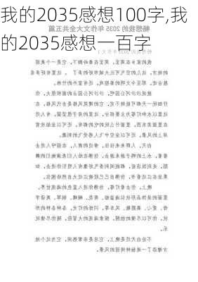 我的2035感想100字,我的2035感想一百字-第2张图片-星梦范文网