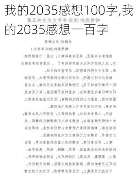 我的2035感想100字,我的2035感想一百字-第3张图片-星梦范文网