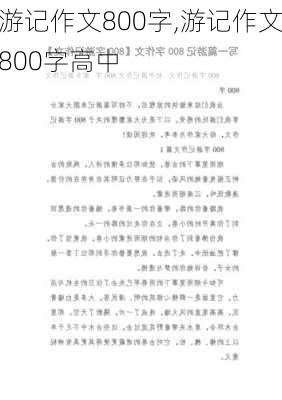 游记作文800字,游记作文800字高中-第3张图片-星梦范文网