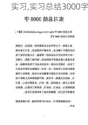 实习,实习总结3000字