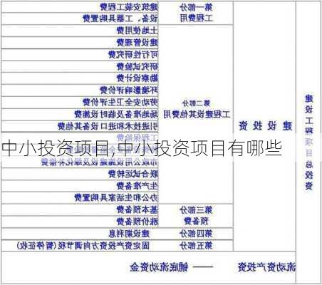 中小投资项目,中小投资项目有哪些-第2张图片-星梦范文网