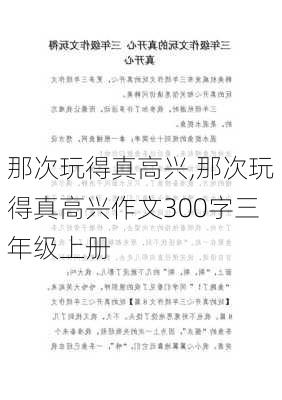 那次玩得真高兴,那次玩得真高兴作文300字三年级上册-第2张图片-星梦范文网