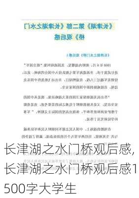 长津湖之水门桥观后感,长津湖之水门桥观后感1500字大学生-第2张图片-星梦范文网