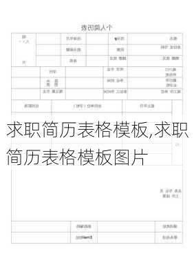 求职简历表格模板,求职简历表格模板图片-第2张图片-星梦范文网