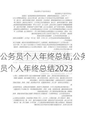 公务员个人年终总结,公务员个人年终总结2023-第2张图片-星梦范文网