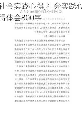 社会实践心得,社会实践心得体会800字-第1张图片-星梦范文网