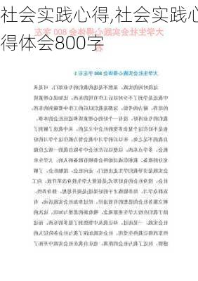 社会实践心得,社会实践心得体会800字-第3张图片-星梦范文网