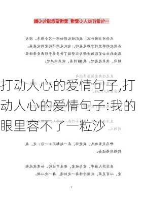 打动人心的爱情句子,打动人心的爱情句子:我的眼里容不了一粒沙-第2张图片-星梦范文网