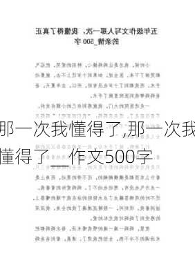 那一次我懂得了,那一次我懂得了__作文500字-第3张图片-星梦范文网