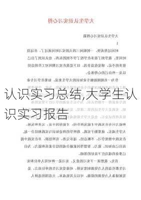 认识实习总结,大学生认识实习报告