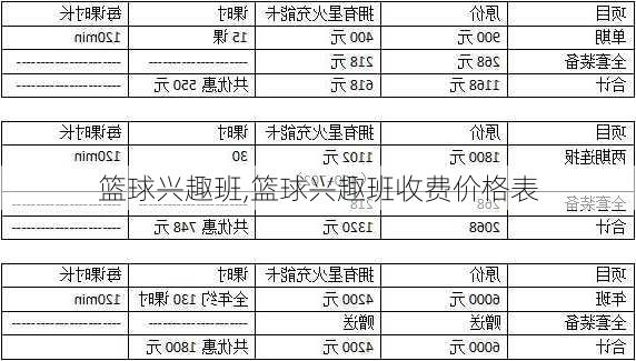 篮球兴趣班,篮球兴趣班收费价格表-第2张图片-星梦范文网