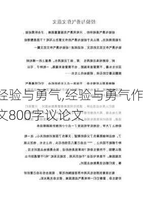 经验与勇气,经验与勇气作文800字议论文-第3张图片-星梦范文网