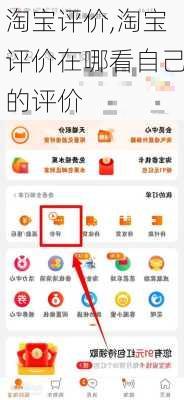 淘宝评价,淘宝评价在哪看自己的评价-第2张图片-星梦范文网