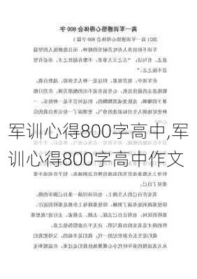 军训心得800字高中,军训心得800字高中作文-第2张图片-星梦范文网