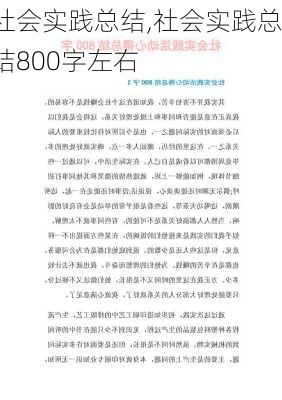 社会实践总结,社会实践总结800字左右-第2张图片-星梦范文网