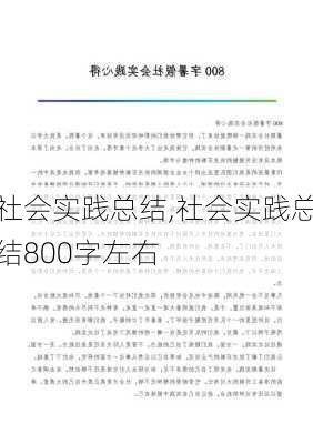 社会实践总结,社会实践总结800字左右-第3张图片-星梦范文网