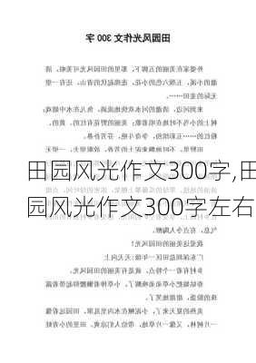 田园风光作文300字,田园风光作文300字左右