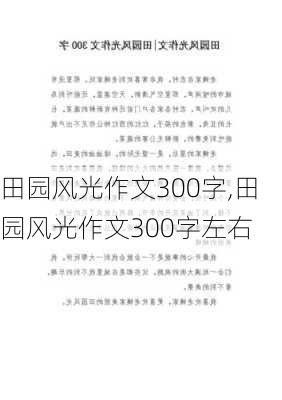 田园风光作文300字,田园风光作文300字左右-第2张图片-星梦范文网