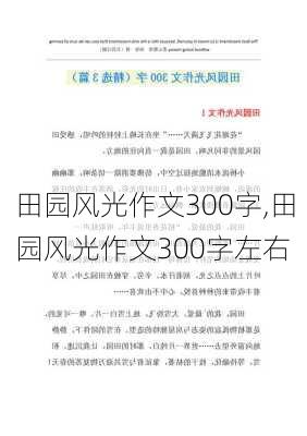 田园风光作文300字,田园风光作文300字左右-第3张图片-星梦范文网