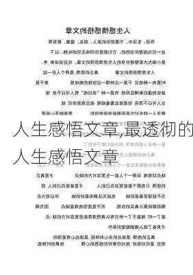 人生感悟文章,最透彻的人生感悟文章