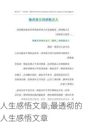 人生感悟文章,最透彻的人生感悟文章-第3张图片-星梦范文网