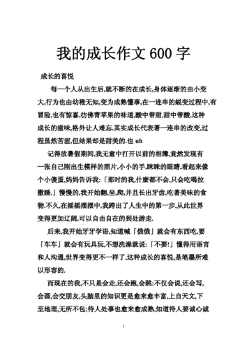 我的成长经历,我的成长经历作文600字-第2张图片-星梦范文网