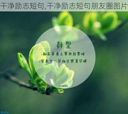 干净励志短句,干净励志短句朋友圈图片-第2张图片-星梦范文网