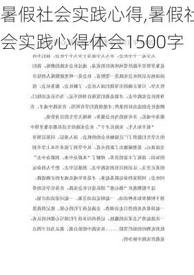 暑假社会实践心得,暑假社会实践心得体会1500字-第3张图片-星梦范文网