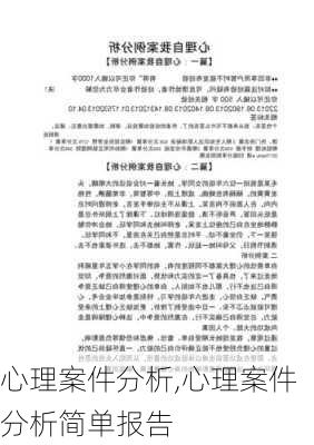 心理案件分析,心理案件分析简单报告