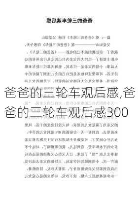 爸爸的三轮车观后感,爸爸的三轮车观后感300-第3张图片-星梦范文网