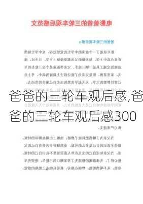 爸爸的三轮车观后感,爸爸的三轮车观后感300-第2张图片-星梦范文网