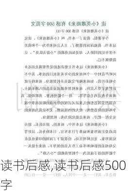 读书后感,读书后感500字