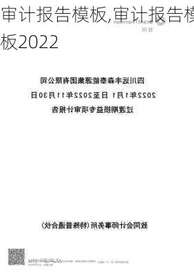 审计报告模板,审计报告模板2022-第3张图片-星梦范文网