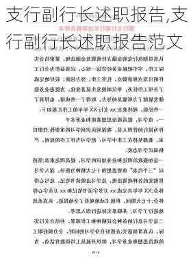 支行副行长述职报告,支行副行长述职报告范文-第3张图片-星梦范文网