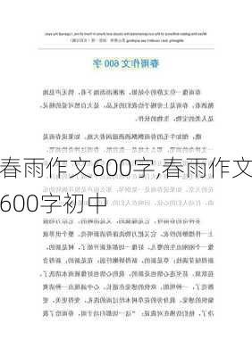 春雨作文600字,春雨作文600字初中-第3张图片-星梦范文网