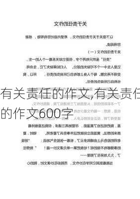 有关责任的作文,有关责任的作文600字-第2张图片-星梦范文网