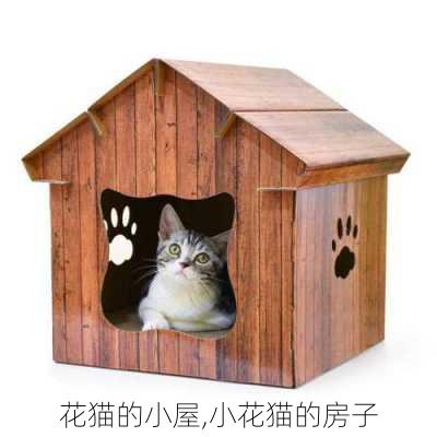 花猫的小屋,小花猫的房子